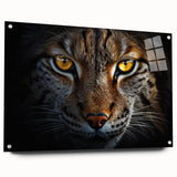 Close-up of a bird in vibrant colors on acrylic glass, suited for bedroom or dining room wall decor.