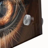 Acrylic glass print of large abstract bird close-up in vibrant blue and green, ideal for dining room art.