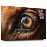 Acrylic print of a close-up bird design in vibrant colors, ideal for bedroom or dining room art.