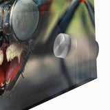 Mid-century modernist style large abstract wall art of birds in vibrant colors on acrylic glass.