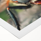 Art deco poster of a stylized bird in muted silver and gray tones on rolled canvas.