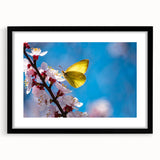 Extra large abstract art print featuring vibrant, colorful birds on textured canvas, framed in black.