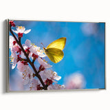 Framed canvas landscape art painting featuring a colorful bird in flight against a black background.