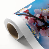 Art deco poster of a stylized bird in pastel shades, printed on rolled canvas, ideal for nursery wall art.