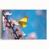 Black and white photo of a bird on stretched canvas, ideal for kitchen wall art.