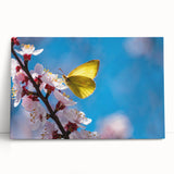 Black and white photograph of a bird in flight on stretched canvas, ideal for kitchen wall art or bedroom ambiance.