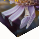 Black and white close-up photo of a bird on stretched canvas, suitable for bedroom wall decor.