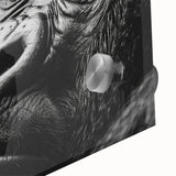 Mid-century modernist large abstract wall art of birds in vibrant colors on acrylic glass, ideal for dining room decor.