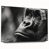 Acrylic print of a large abstract bird design in vibrant colors, ideal for bedroom or dining room decor.