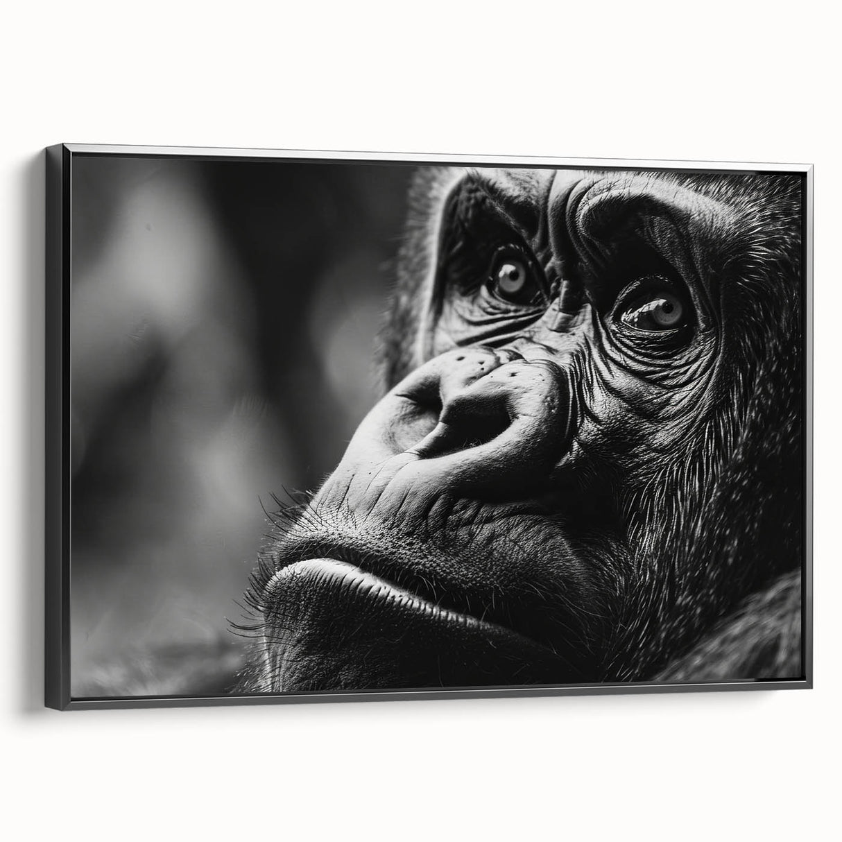 Black and white framed canvas featuring a close-up of a bird, ideal for bedroom wall decor.