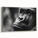 Framed canvas featuring a detailed bird design in vibrant colors on a black background.