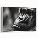 Vintage poster art of colorful birds on a black background, printed on a large framed canvas, suitable for living room decor.