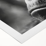 Art deco poster featuring a stylized peacock in vibrant blues and greens on a rolled canvas, suitable for dining room walls.