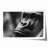 Close-up image of a bird on a floral background in soft pastel shades, rolled print, ideal for art wall dining room.