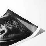 Extra large rolled print featuring line art flowers in monochrome, ideal for large living room wall art.