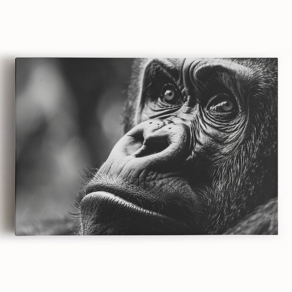 Black and white photo of a bird perched on a branch, printed on stretched canvas, ideal for kitchen wall art.