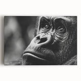 Black and white photo of a bird perched on a branch, printed on stretched canvas, ideal for kitchen wall art.