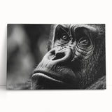 Black and white photo of a bird on canvas, ideal for kitchen wall art or bedroom ambiance.