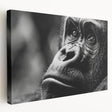 Close-up image of a bird on stretched canvas, showcasing detailed plumage in natural colors, ideal for kitchen wall art.