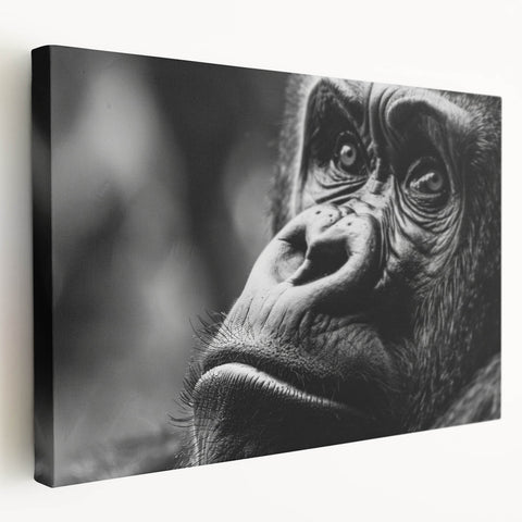 Close-up image of a bird on stretched canvas, showcasing detailed plumage in natural colors, ideal for kitchen wall art.