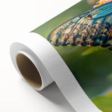 Art deco poster of colorful birds on a branch, in pastel shades on rolled canvas, ideal for nursery wall art.