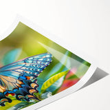 Extra large wall art featuring line art flowers in black on a white background, ideal for large living room wall decor.