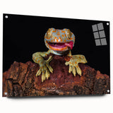 Close-up of a bird in flight captured on large acrylic glass, featuring soft gray and white tones.