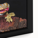 Close-up of a colorful bird on black textured canvas, ideal for extra large living room wall art.