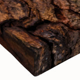 Black and white close-up photo of a bird on canvas.