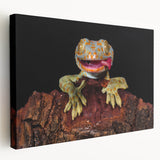 Close-up image of a bird on a stretched canvas, featuring natural tones and a detailed design, ideal for kitchen wall art.