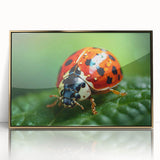 Close-up of a bird in vivid colors on a large acrylic print framed in gold, suited for modern nursery decor.