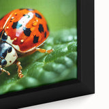 Close-up of a colorful bird on black textured canvas, ideal for extra large living room wall art.