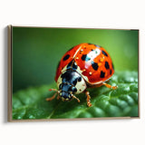 Framed canvas featuring a close-up of a bird in a vintage poster style with a black background, ideal for bedroom wall art.