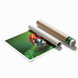 Extra large rolled print of a close-up bird design in natural hues, ideal for classy bathroom wall art.