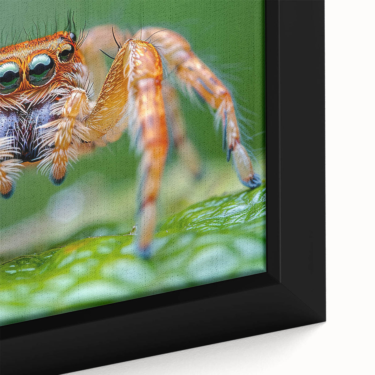 Close-up of a colorful bird on black textured canvas, ideal for living room decor.
