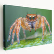Close-up of a bird in vibrant green and brown tones on a large stretched canvas, ideal for kitchen wall art.