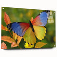 Large abstract wall art depicting a colorful bird, in vibrant hues of blue and green on acrylic glass.