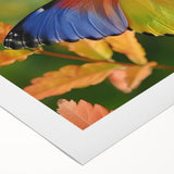 Art deco poster featuring a colorful peacock on a muted gold background, printed on rolled canvas.