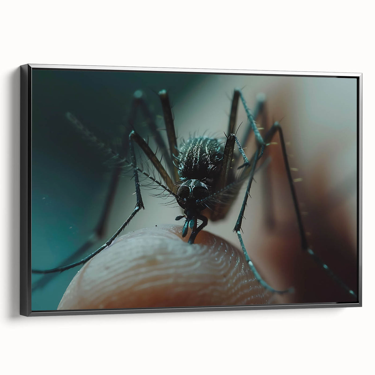 Black and white framed canvas featuring a detailed close-up of a bird, ideal for bedroom wall decor.