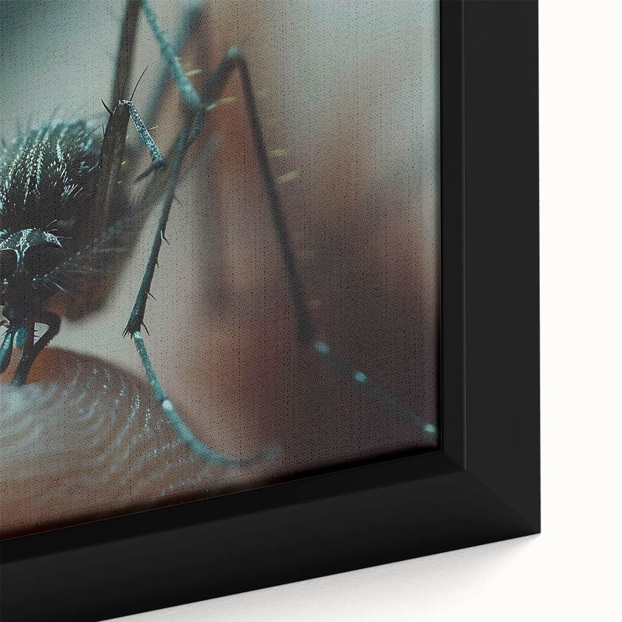 Close-up of a colorful bird on black textured canvas, ideal for extra large living room wall art.