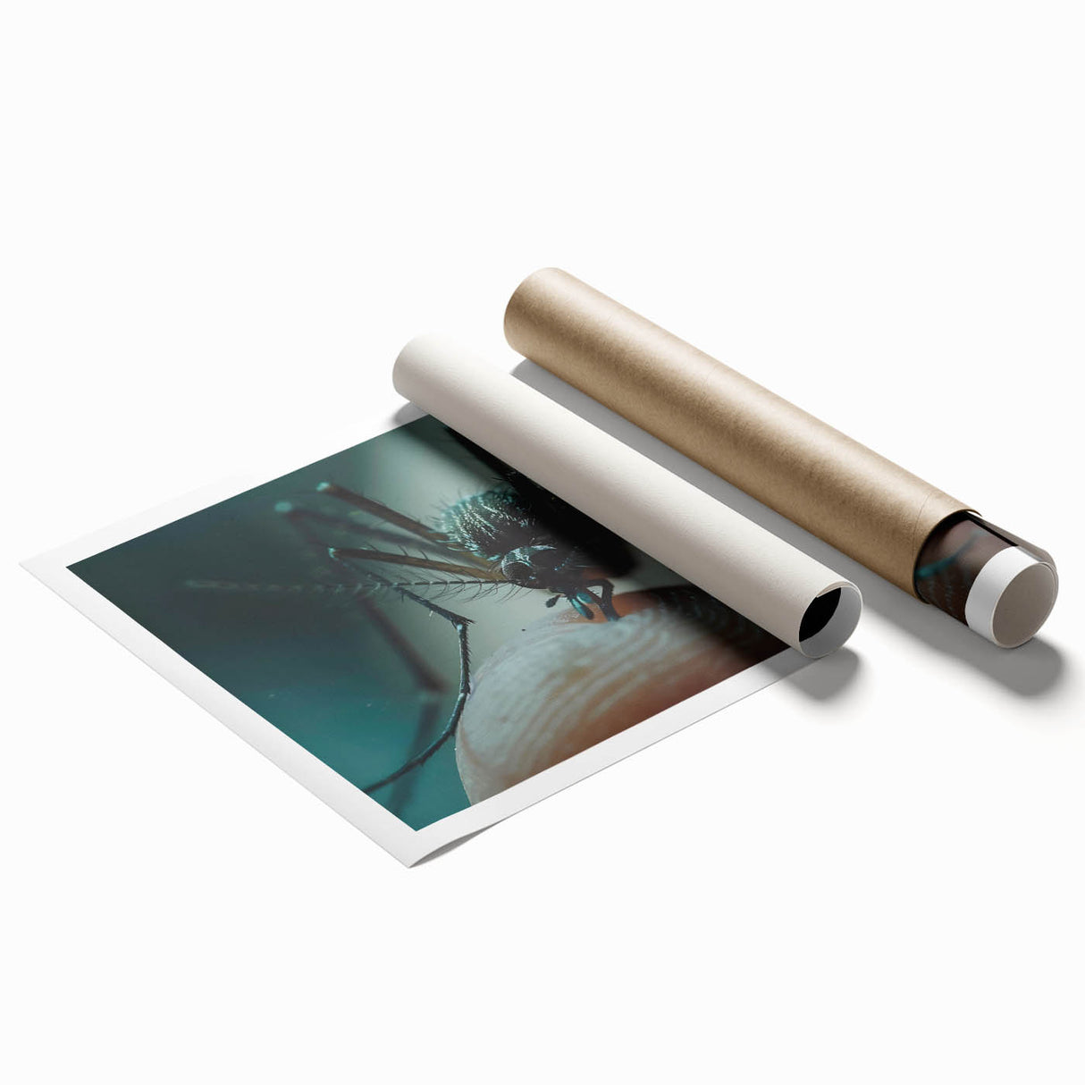 Close-up image of a bird in soft pastels on a large rolled canvas, ideal for classy bathroom wall art.