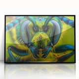 Large abstract wall art featuring a mid-century modernist birds design in muted earth tones, framed in black acrylic.