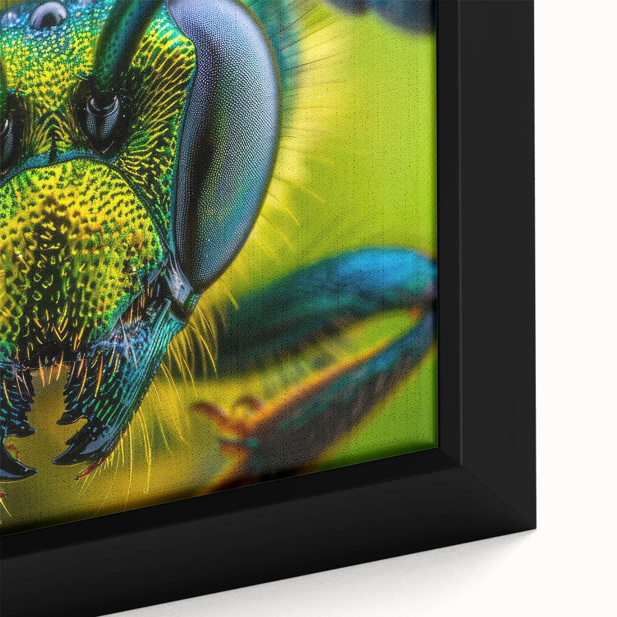 Close-up of a colorful bird on black textured canvas, ideal for extra large living room wall art.