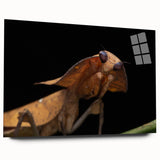 Large abstract wall art featuring a close-up of a bird, in vibrant colors on acrylic glass.