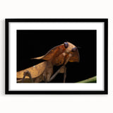 Extra large, textured abstract art print of colorful birds, in a black frame with mat, ideal for living room decor.