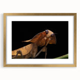 Extra large abstract art print featuring a close-up of a bird, in muted earth tones on a textured canvas, framed in gold.