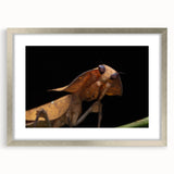 Textured art print of abstract birds in muted earth tones on a silver-framed mat, suitable for bedroom decoration.