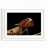 Abstract art print of birds in pastel shades on a white framed canvas, suitable for bedroom or dining room decor.