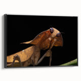 Black and white wall art of a bird in flight on framed canvas, ideal for bedroom ambiance with a vintage poster art style.