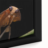 Close-up of a bird in vibrant colors on black textured canvas, ideal for extra large living room wall art.